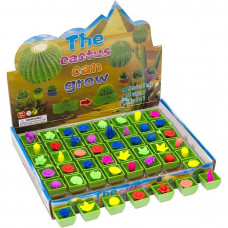 Растішка кактус, квіти 772-270 К2