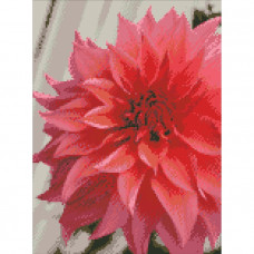 Набір д/тв. "Діамантова мозаїка по ном" 30*40см