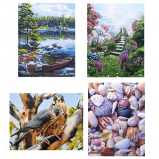 Набір д/тв. "Діамантова мозаїка по ном" 40*50см мікс